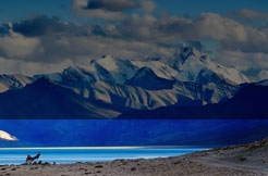 Laddakh Tour