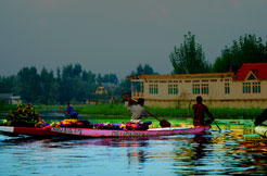 Srinagar Tour