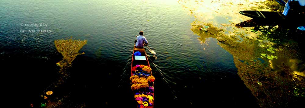 Backside of Dallake