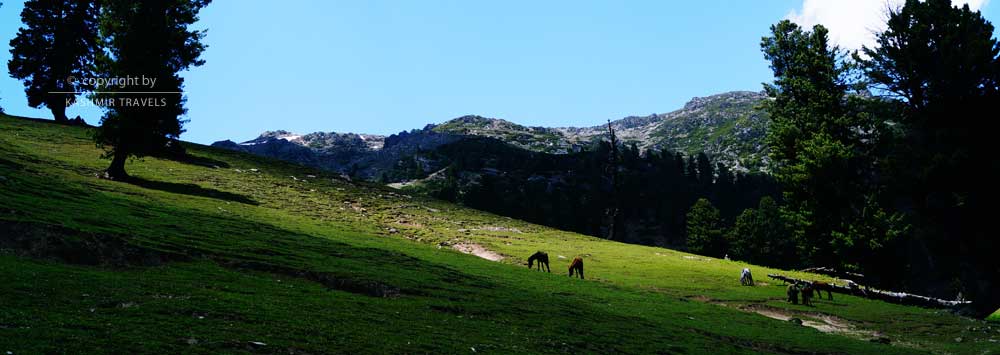 Green Kashmir