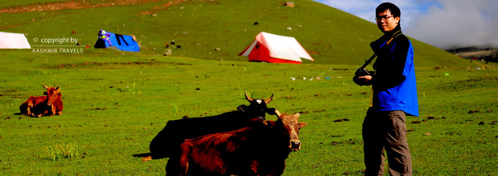 Kashmir Trek