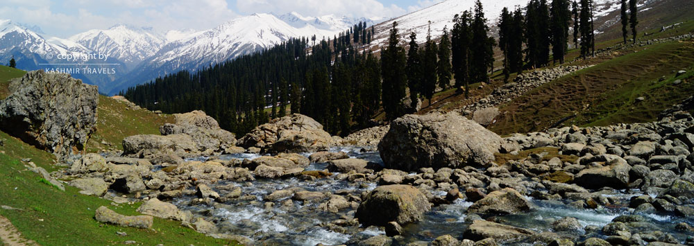 Yatra from Sonmarg