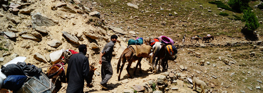 Amarnath Yatra by Horses