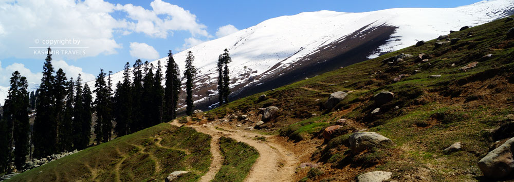 Amarnath Yatra from Pahalgam