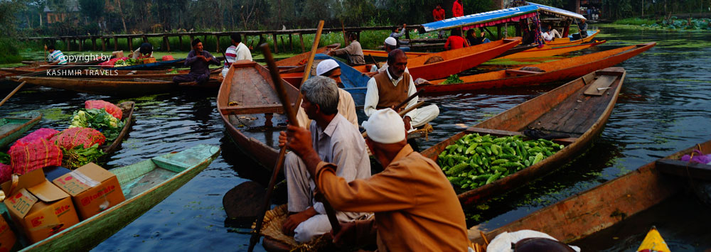 Morning Vegetable Market