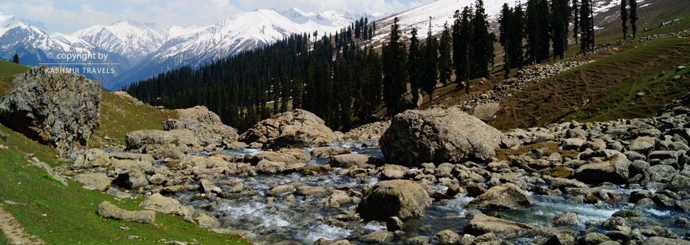 Sonmarg